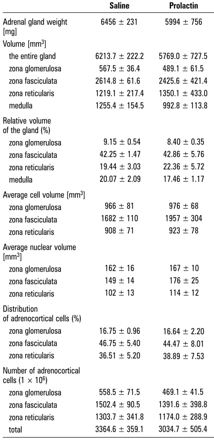 Table 1. The morphometric parameters of the cortex ofthe left adrenal gland of saline and prolactin-treated sowsduring early luteal phase of the oestrous cycle