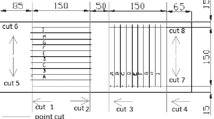Fig. 1. Cutting plan of samples Definition of measured indicator