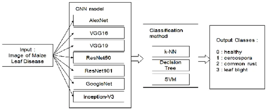 Figure 1. The research method of maize leaf disease image classification  