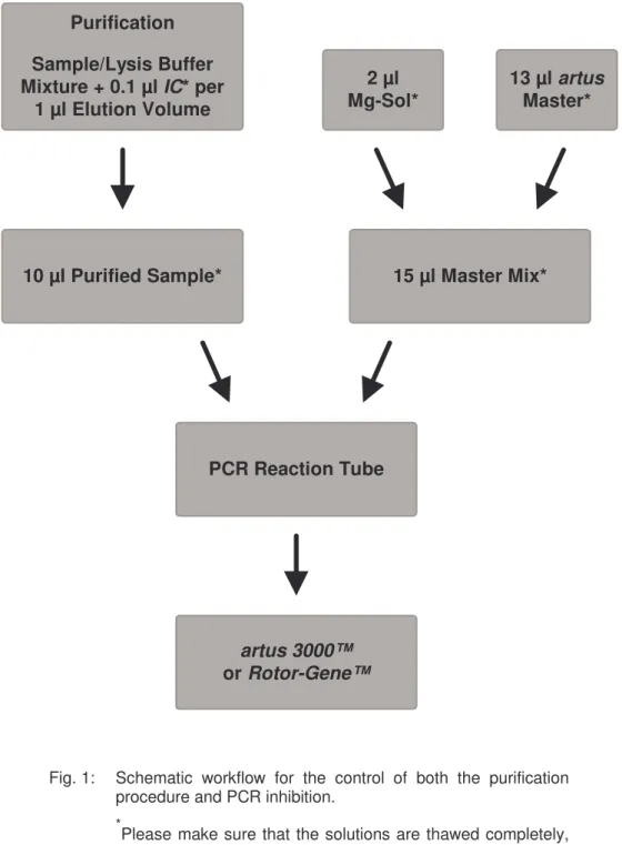Fig. 1:  Schematic  workflow  for  the  control  of  both  the  purification  procedure and PCR inhibition