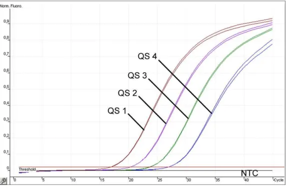 Fig. 8:  Detection  of  the  Quantitation  Standards  (M. tuberculosis  RG/TM  QS 1 - 4)  in  fluorescence  channel  Cycling A.FAM