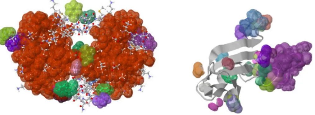 Figure 3.2. Visualizing rigid cluster of HIV-1 Protease. Groups of colored atoms indicate rigid clusters