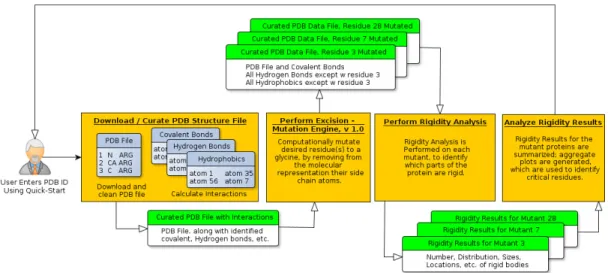 Figure 3.9. System description of KINARI-Mutagen. A PDB file is downloaded and curated, excision is performed to generate mutants, each mutant is analyzed, and rigidity results are aggregated