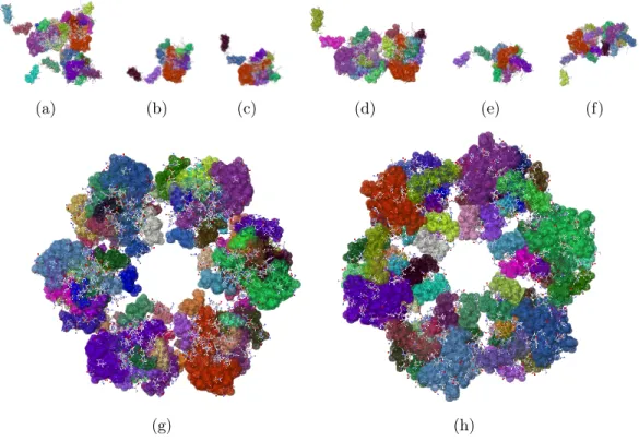 Figure 4.2. Rigidity Results of Rift Valley Virus. The asymmetric unit (PDB file 3ouo), is composed of three chains, A, B, and C