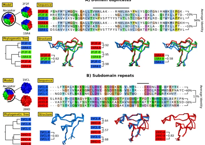 Figure 2.2: evolution by whole-domain duplication versus subdomain repetition. β-trefoils are labelled with their PDB IDs, and different subdomains are colored as in Figure 2.1