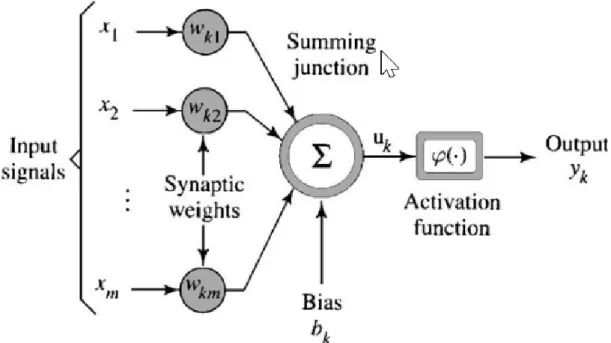 Figure 11. Information processing in a single neuron. 