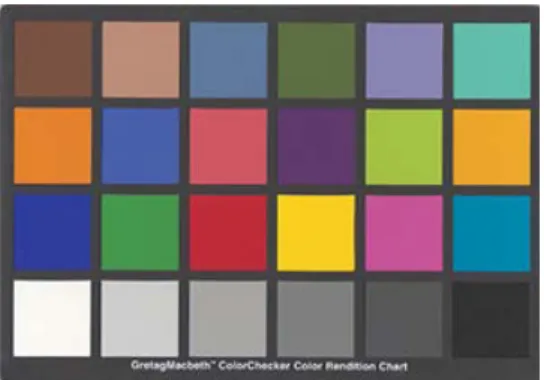Figure 101 - 24-patch GretagMacBeth ColorChecker. In 
