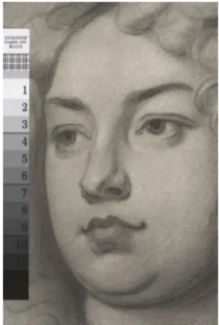 Figure  7  –  Etching.  Macro  view  with  90º  lighting.  This  lighting  reveals the texture of the darker  areas and their relief
