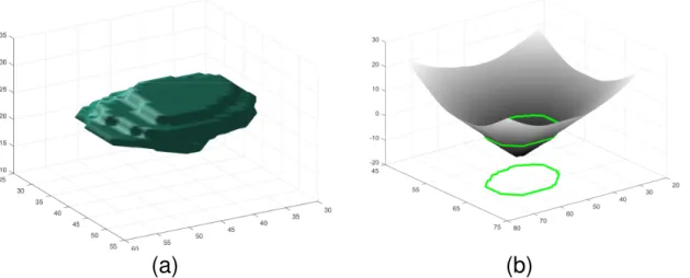 Figure 5. Representing a nodule shape by a Signed Distance Function (SDF).