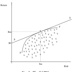 Fig. 3. The CAPM.
