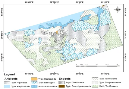 Fig. 3. Land forms of the study area, after Darwish and Abdel Kawy, 2008