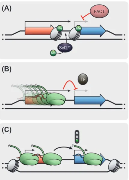 Figure 1Gowthaman et al.