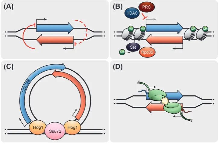 Figure 2Gowthaman et al.