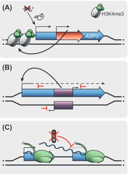 Figure 3Gowthaman et al.