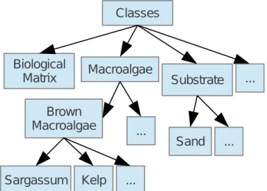 Figure 2.2: Class hierarchy summary