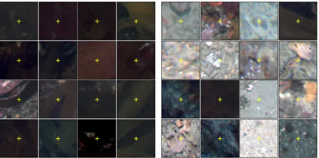 Figure 2.3: Example 95 × 95 patches of kelp (left) and all classes (right)