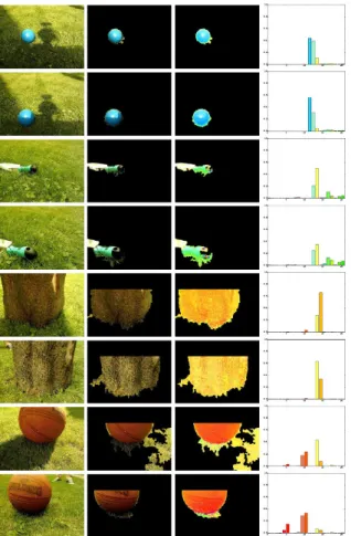 Fig. 10. Impacts of various challenges on the results of relevant processing steps. Each row depicts from left to right the recorded picture, the segmented object, the appearance in rg-chromaticity space and the color histogram.