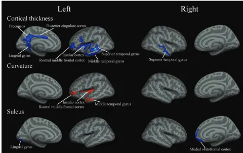 Table 2: Information of regions in which cortical thickness showed correlation with altitudein Tibetans