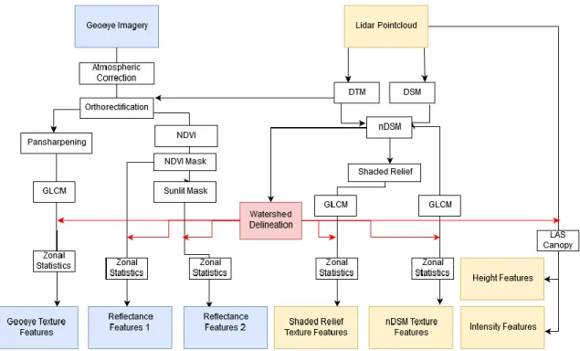 Figure 2.3: General workflow for creation of classification features. Features  derived from imagery are in blue, from lidar in yellow