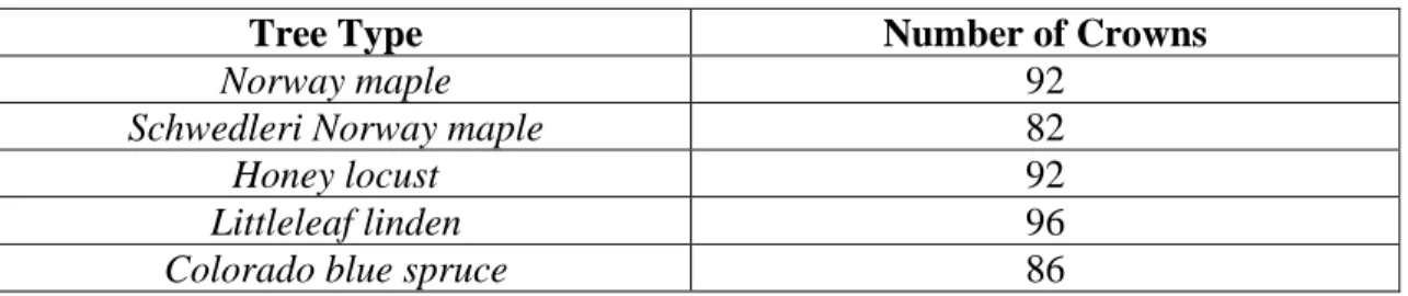 Table 2.3: Number of crowns selected for classification per tree type. 