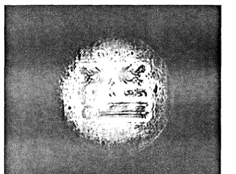 Fig. 1.14 (c) 