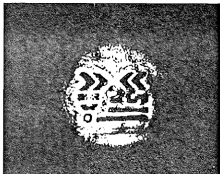 Fig. 1.16 Diffraction pattern of crysto-hologram 