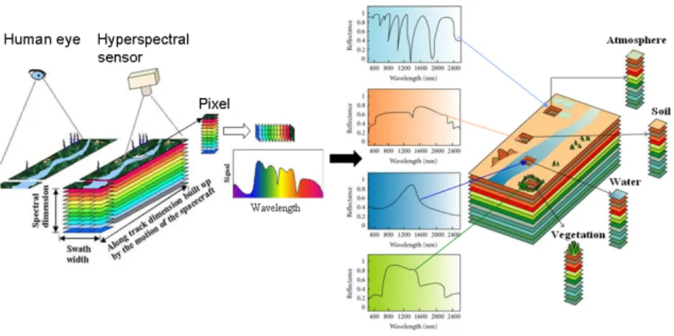 Figure 1.1: Each pixel in a hyperspectral image contains a continuous spectrum that is used to identify the materials present in the pixel.