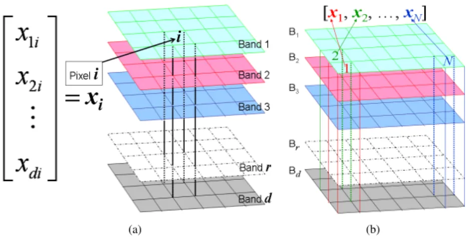 Figure 2.1: Hyperspectral image, (a) a pixel vector; (b) transfer the 3D hypercube into 2D matrix