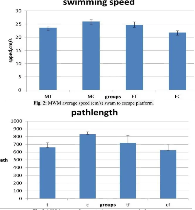 Fig. 2: MWM average speed (cm/s) swam to escape platform. 