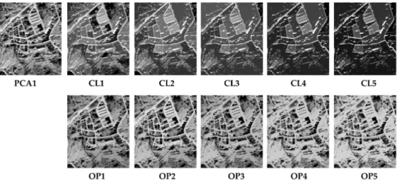 Figure 4. The effect of each filter applied to the original PCA1. Five closing (CL) and five opening  (OP) attributes are shown