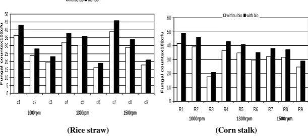 Fig 7. Effect of chopping machine rotation feeding rates and biofertilizers application on Fungi counts, of the matured  compost for rice straw and corn stalk 