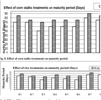 Fig. 8. Effect of corn stalks treatments on maturity period C1