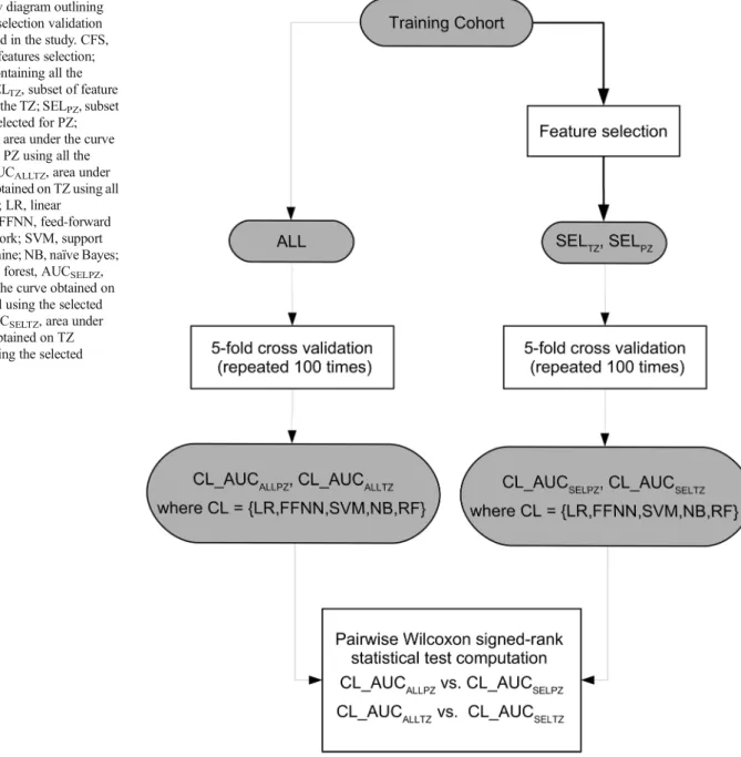 Fig. 3 Flow diagram outlining the feature selection validation strategy used in the study