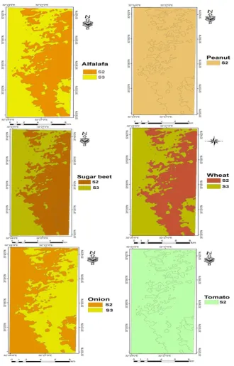 Fig. 9. Suitability maps for the selected crops in the study area.