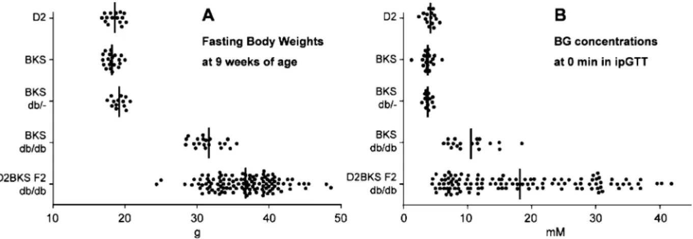 Fig. 1. Scatter plots of (A) fasting body weights at 9 weeks of age and (B) BG concentrations at 0 min in ipGTT