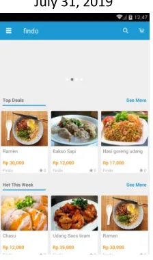 Fig 11 : Findo Mobile Application Version Dashboard Horizontal View 