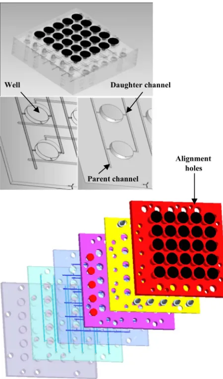 Figure 2. Image of 3-D design (a) Assembled view of six lay- ers; (b) Solid model view of critical channel layer of micro liter array plate; and (c) Exploded view of the six layers