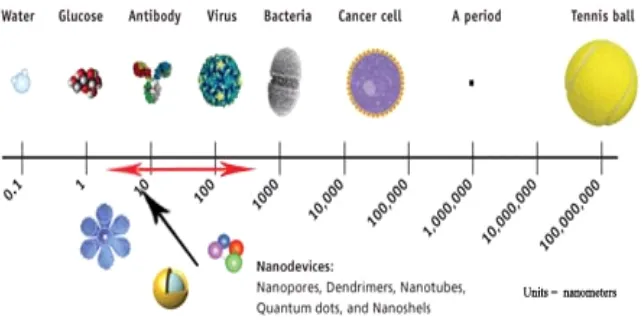 Fig. 1. Nanoscale science and engineering for agriculture and food systems. 