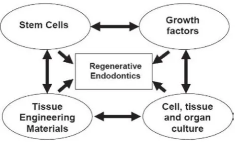 Figure 1. The major domains of research required to developregenerative endodontic procedures [J Endod 2007 Vol 33; No 4; 37]