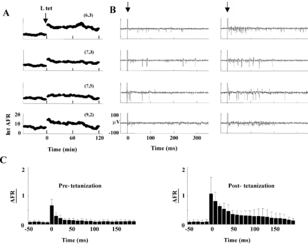 Fig. 4. Induction of LTP in a neuronal culture from hippocampal neurons. (A) Time-dependence of IntAFR prior to and after b-tetanus for the electrodes (6,3), (7,3), (7,5), and (9,2), with tetanus indicated by an arrow