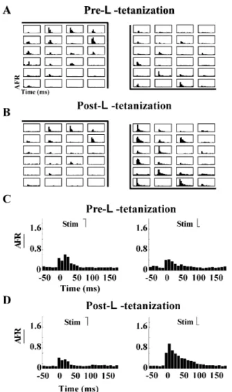 Fig. 6. Discrimination at single-trial level before and after b-tetanus for a neuronal culture