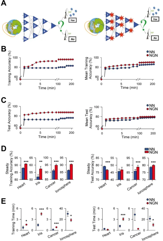Figure 1. Artificial astrocytes enhance neural network performance. (A) Schematic drawing representing the design of artificial neural networks without (left) and with artificial astrocytes (red stars; right) designed to solve the Ionosphere (IS) problem