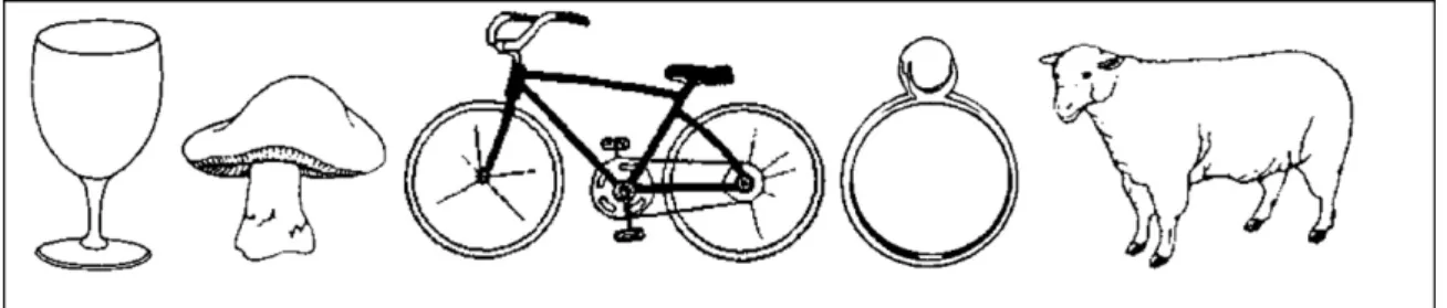 Fig. 6. Examples of pictures shown.