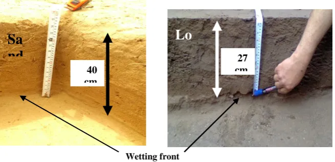 Fig. 3. Progression of wetting front in both studied soils under surface    flooded treatment