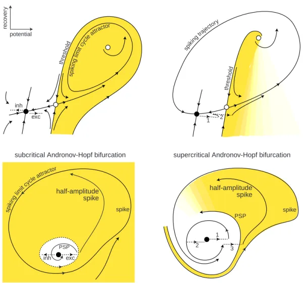 Figure 1.15: The geometry of phase portraits of excitable systems near four bifurcations can explain many neurocomputational properties (see section 1.2.4 for details).