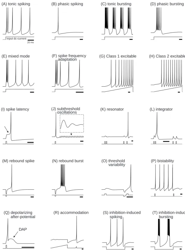 Figure 8.8: Summary of neurocomputational properties exhibited by the simple model;