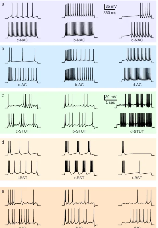 Figure 8.30: Simulations of the simple model with various parameters can reproduce all firing patterns of neocortical inhibitory interneurons in Fig.8.29.