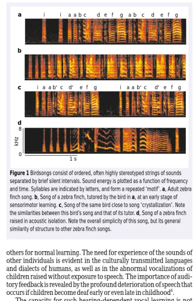 Figure 1 Birdsongs consist of ordered, often highly stereotyped strings of sounds separated by brief silent intervals