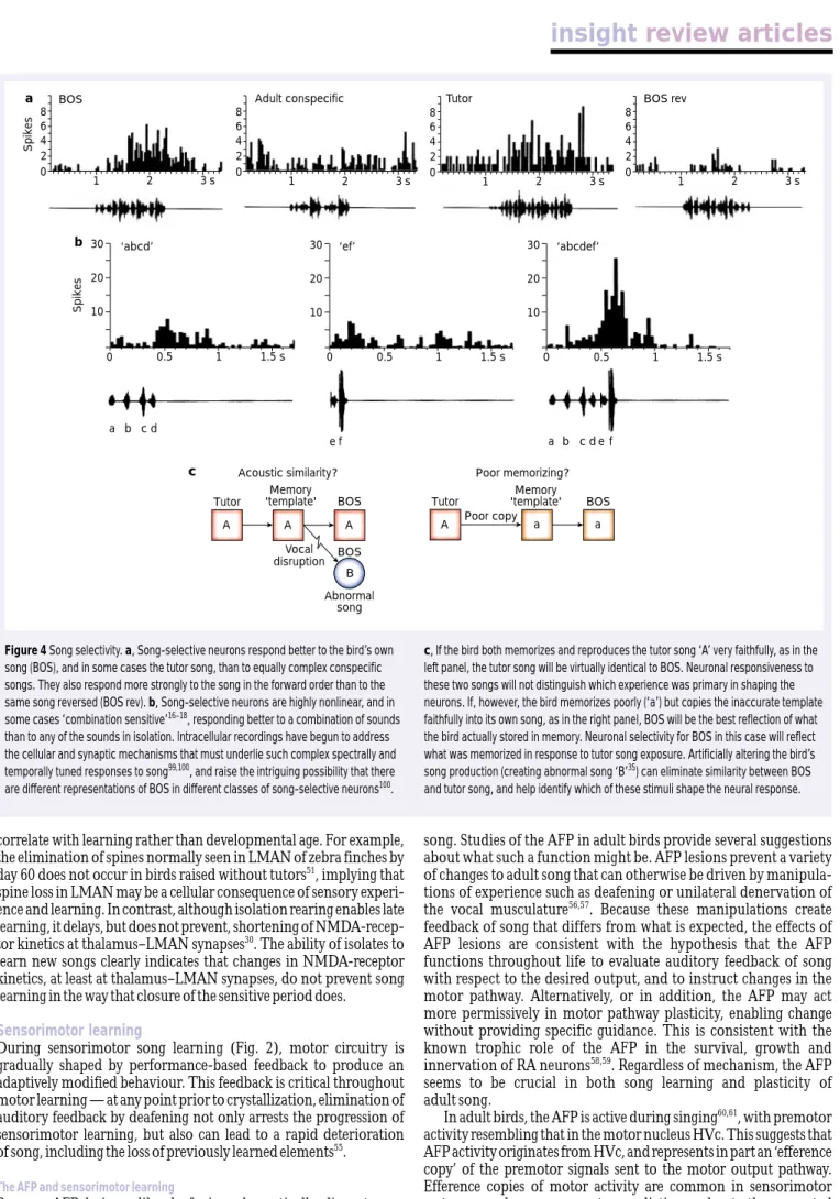 Figure 4 Song selectivity. a, Song-selective neurons respond better to the bird’s own song (BOS), and in some cases the tutor song, than to equally complex conspecific songs