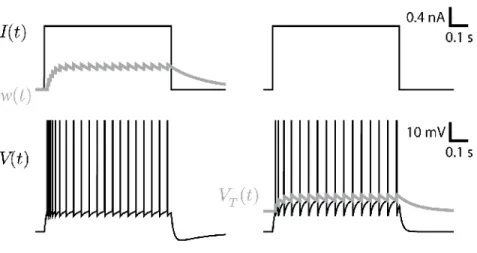 Fig. 4 Comparing two simple mechanism of spike-triggered adaptation. A step current (top) is injected in a model with spike-triggered hyperpolarizing current (left) or in a model with moving threshold (right)
